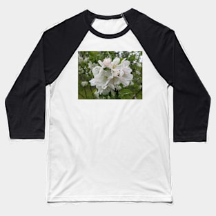 Wet White Tree Flowers 2 Baseball T-Shirt